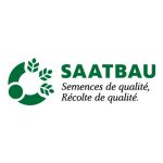 Saatbau