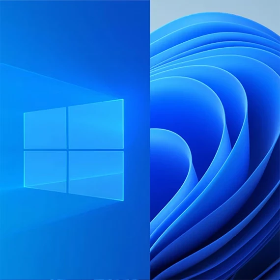 Passer à windows 11 avec Wapli Informatique